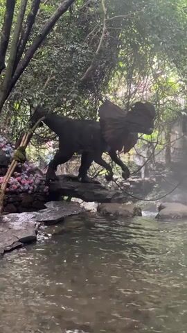 A dark dinosaur model with a frill around its neck is standing on a rock in a stream. The dinosaur is positioned on the left side of the frame, facing right. Its body is angled slightly towards the viewer. To the left of the dinosaur, there is a cluster of pink and purple flowers. The stream flows in the foreground, with rocks visible in the water. The background is filled with lush green foliage and trees, suggesting a forest or jungle environment. Some light mist or fog is present in the air, particularly around the dinosaur and the rock it is standing on. The overall scene depicts a prehistoric-like setting with the dinosaur as the focal point.