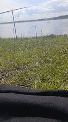 Ground-level view of grass and water recorded in Shumen