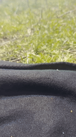 Ground-level view of grass and water recorded in Shumen