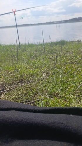 Ground-level view of grass and water recorded in Shumen