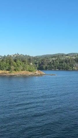 The video shows a view of a body of water, possibly a bay or a strait, with a small island or peninsula in the foreground and more land in the background. The water is blue with subtle ripples. The island is covered in trees and appears rocky near the waterline. A small red and white structure, possibly a marker or navigational aid, stands at the end of the island. In the background, the land is elevated and also covered with trees, with some houses visible among the foliage. The sky is clear and blue.