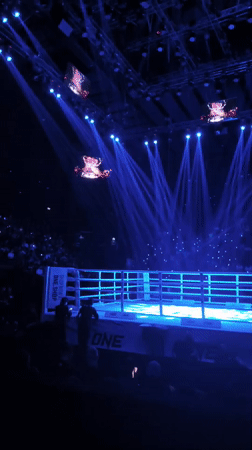 Female fighter spotted in illuminated Bangkok boxing ring