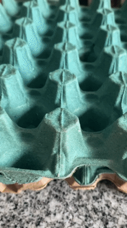 Man lies on floor as child holds light in Argentina