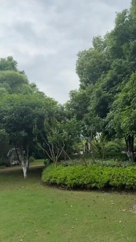 The video shows a park-like setting with green grass, trees, and bushes. A three-wheeled utility vehicle is parked on the grass. The camera then pans to a tiled walkway next to a road with parked cars, traffic lights, and buildings in the distance. The sky is overcast.
