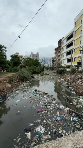 A black pig is walking through a heavily polluted canal filled with garbage. The canal is surrounded by lush green trees on one side and apartment buildings on the other. The water is murky and overflowing with plastic bottles, bags, and other debris. The pig is rooting through the trash, seemingly unfazed by the polluted environment. The scene depicts a stark contrast between urban development and environmental neglect. The sky is overcast, suggesting a possibly humid or rainy day.