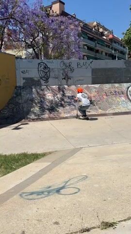 A young man, wearing an orange helmet, a white t-shirt, blue jeans, and a wristband, attempts a trick on a scooter at a sunny outdoor skate park. He rides up a concrete ramp covered in colorful graffiti. As he reaches the top, he attempts a jump but loses control, falling hard onto the concrete ground. The scooter is thrown clear of him. He lands on his back, then quickly sits up, looking towards the camera with a slight smile, seemingly unhurt.

The skate park features a concrete ramp and a bright yellow wall, both extensively covered in graffiti, including the word "BMX" and other tags. In the background, trees with vibrant purple flowers (likely jacaranda) are visible, along with residential buildings under a clear blue sky. The bright sunlight casts distinct shadows on the ground. A faint, blurred outline is visible on the concrete surface near the man.