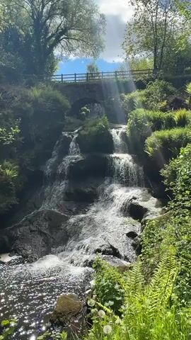 The video shows a waterfall cascading down a rocky hillside.  Lush green vegetation, including ferns and trees, surrounds the waterfall. A small stone bridge with a wooden railing spans the top of the waterfall. Sunlight streams through the trees, creating a dappled effect on the water and surrounding foliage. The water sparkles as it flows over the rocks.