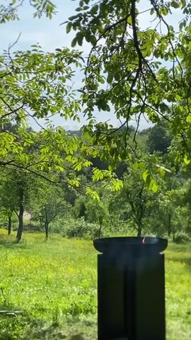 The scene shows a green meadow with trees and yellow flowers. In the foreground, there is a black fire pit with smoke rising from it. The camera is positioned under a tree, with its leaves partially framing the view. The background reveals a distant hill covered with more trees. The sky is visible through the trees, with a few clouds.