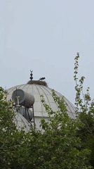 Stork nests atop mosque dome in Fethiye, Turkey