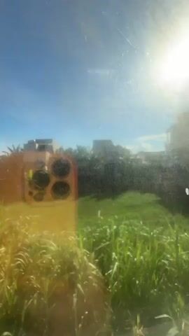 A phone is held up to a window, capturing its reflection along with the outside scenery. The reflection shows a phone with three cameras in a square arrangement. Outside, the sun shines brightly in a clear blue sky. Green grass and tall stalks of vegetation are visible in the foreground, with some trees and buildings in the distance. The overall scene suggests a daytime view from indoors, looking outwards.