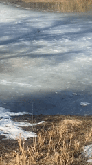 Moscow residents enjoy late winter outdoor activities in parks