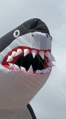 Sea creature kite festival draws crowds to Spanish beach