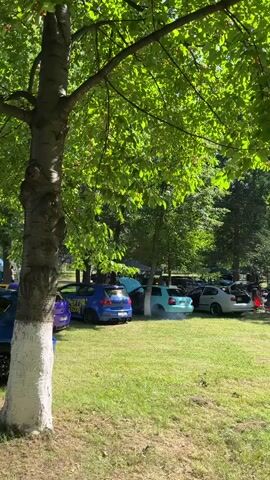 This is a short video showcasing an outdoor car event in Târgu Ocna, Romania. The scene is set in a park-like area with lush green grass and mature trees providing ample shade. Sunlight filters through the leaves, suggesting it's a bright, likely warm day.

Various vehicles are the primary subjects, ranging from modified cars to what appears to be a tow truck. The cars are parked on the grass, some with their hoods up, indicating a car show or gathering. There are also several tents set up, suggesting vendors or display areas. One tent prominently displays the text "ALPHARD GROUP," and another has logos for "REIS AUDIO" and "HERTZ." A banner behind one tent features text related to "db DRAG RACING" and "dB DRAG RACE."

While not clearly visible, there are hints of people milling around the vehicles and tents, suggesting a public event. The overall atmosphere appears relaxed and celebratory, typical of a car enthusiast gathering on a sunny day. The background shows a gently sloping hillside covered in trees, reinforcing the natural, outdoor setting. The time of day is likely midday or early afternoon given the strong sunlight and shadows.