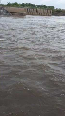 The video captures a wide, moving body of water, likely a river or large canal, under an overcast sky. The water is a murky brown-gray, with numerous ripples and small waves indicating a strong current.

In the background, a substantial man-made structure spans the water. This appears to be a dam or weir, characterized by a series of concrete vertical segments or gates, and a flat, horizontal top. To the left of this structure, the river bank is heavily reinforced with a large pile of rocks or riprap, extending into the water. Further left, a tall, slender communication or cellular tower is visible on the distant bank.

As the camera pans slowly to the right, more of the expansive water surface is shown. The distant shoreline on the right features more reinforced banks and scattered green vegetation. Further in the distance, a few small, low-lying buildings or a small settlement can be discerned against the horizon. The overall impression is one of a large-scale hydraulic engineering project in a relatively flat, open landscape.

The time of day is daytime, but the overcast conditions provide soft, diffused lighting. No specific activity beyond the natural flow of the water is prominently featured, nor are any people visible. There is no visible text. The scene is consistent with a location such as Nizhneleninskoe, Russia, which is known for its river and infrastructure along the Amur River.