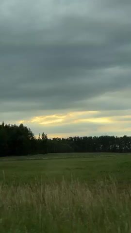 This is a video of a landscape. The foreground is a field of grass and other vegetation. In the middle ground, there is a line of trees and a grassy field. The background is a sky with clouds. The scene appears to be taken from a moving vehicle, likely a car. The lighting suggests it is either early morning or late evening, possibly before or after a storm due to the overcast sky. There are no people or man-made structures visible in the video.