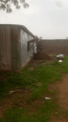 Nigeria TV captures routine rural scenes: livestock, infrastructure, daily life