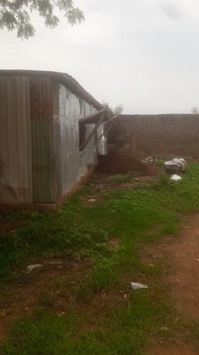 Nigeria TV captures routine rural scenes: livestock, infrastructure, daily life