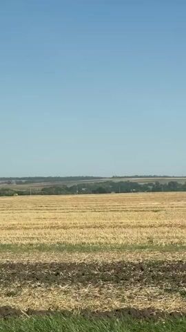 A rural landscape with a vast field of harvested crops under a clear blue sky. In the foreground, a road signpost with a red and white triangular warning sign is visible on the left. The field is predominantly golden-yellow, with rows of stubble indicating recent harvesting. Some dark, tilled earth is visible at the bottom of the frame. In the distance, a treeline and scattered buildings suggest a settlement. The overall scene depicts a calm, agricultural environment on a sunny day.