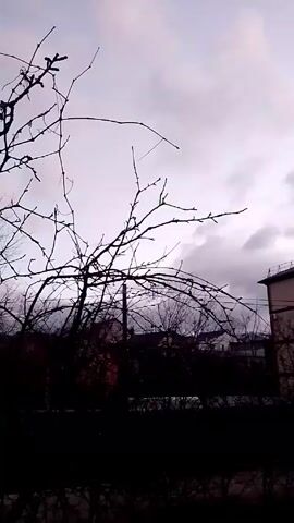 The video presents a landscape on an overcast day, possibly in late autumn or early spring. The foreground is dominated by bare trees, their branches reaching up towards a cloudy sky. A building or house is visible in the middle ground, featuring a red or brown roof. The camera angle is low, looking upward through the trees. There is no movement or action in the video. The overall tone of the scene is somber, owing to the weather and the starkness of the trees.