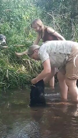 The video shows two people and two dogs in a shallow body of water surrounded by lush green vegetation. One person, wearing a light-colored patterned shirt and tan shorts, is bending down and interacting with a black dog partially submerged in the water. The other person, a woman with long blonde hair, wearing a darker top, is standing and reaching out towards a black and white dog on the bank. The black and white dog appears to be looking at the woman's hand, which might be offering something. The water is murky and brown, with some rocks visible on the bottom. The sunlight filters through the trees, creating dappled light. The overall scene suggests a relaxed, outdoor activity, possibly a hike or a swim with the dogs.