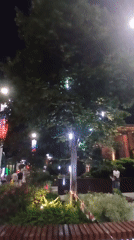 Evening scenes documented across illuminated central Yekaterinburg buildings