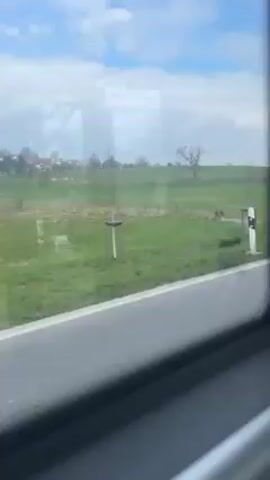 The video is taken from a vehicle moving along a paved road. The view through the window shows a green field next to the road. There's a simple wire fence separating the road from the field. In the distance, there are a few buildings, possibly a small village or farm. Scattered trees, mostly bare, are present in the field. The sky is partly cloudy. At the beginning of the video, a dark-colored car is visible on the road, parallel to the vehicle from which the video is being recorded. The camera moves forward, and the car disappears from view.