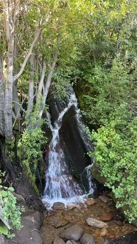 A small waterfall cascades down dark rocks surrounded by lush green foliage. The water is white and frothy as it flows over the rocks and into a shallow stream bed littered with stones. Sunlight filters through the leaves, creating dappled patterns on the scene. The overall impression is one of a peaceful and natural setting.