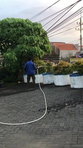 A person is watering plants from a hose. The scene appears to be an outdoor area with a paved ground made of dark gray bricks. In the background, there's a large tree with abundant green leaves, several potted plants in white containers with blue rims, and a building with a terracotta roof. Overhead, numerous electrical wires are strung across the sky. A person, seen from behind, is wearing a blue jacket and dark pants, holding a white hose and directing water towards the potted plants. The lighting suggests it is either early morning or late afternoon, and the sky is overcast. The overall mood is peaceful and domestic, with the person engaged in a routine task. There is no visible text in the media.