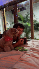 Man shares watermelon meal with poodle in North Kuta
