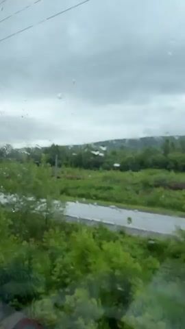 The video shows a view through a rain-streaked window overlooking a rural landscape under a cloudy sky. Lush green trees and foliage dominate the foreground. A wet asphalt road runs through a field of grass in the middle ground, with scattered trees and some distant structures visible. The sky is overcast with a heavy layer of grey clouds. The overall impression is of a gloomy, rainy day in a natural setting.