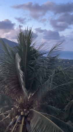 Twilight evening across Ban Tai's palms, mountains, and coast