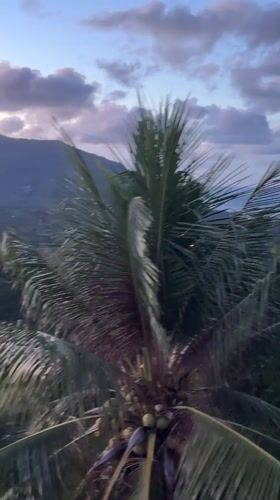 Twilight evening across Ban Tai's palms, mountains, and coast