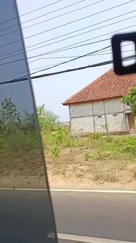The video shows a view from inside a vehicle looking out the window at a roadside scene. The right side of the frame shows a building with a red tile roof and light-colored brick walls. In front of the building and extending to the left is a field of dry grass and some scattered greenery, including trees and what appear to be banana plants. Power lines and utility poles run across the sky in the background. The left side of the frame is dominated by the reflection on the vehicle's window, which shows a distorted green landscape. A road with a white line is visible in the foreground. The overall scene suggests a rural or semi-rural environment on a bright, possibly sunny day.