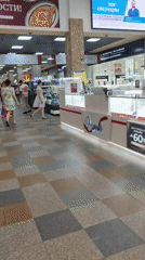Routine shopping mall activity documented across 34 minutes