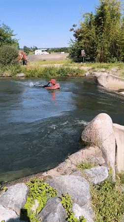 Afternoon water recreation draws crowds to French Rhône River towns