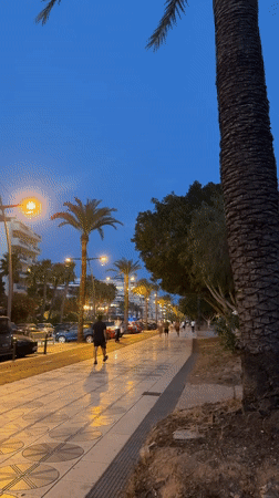 Ibiza marina at dusk: yachts, palm streets, and castle views