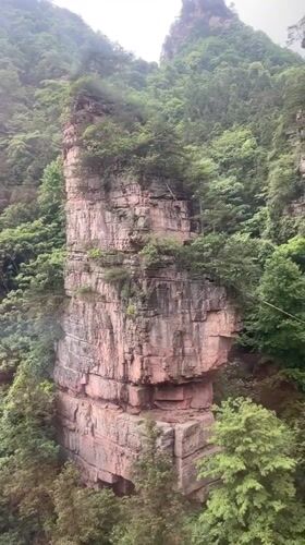 Cable car riders document scenic journey through Zhangjiajie peaks