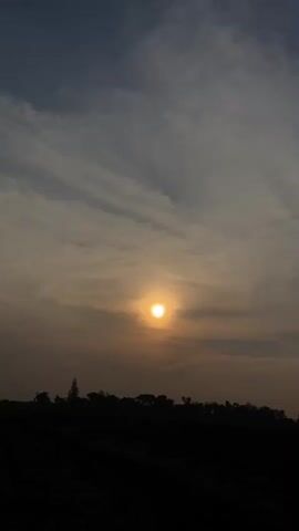 The video shows a wide shot of a sunset. The sun is a bright, yellow orb in the center of the frame, partially obscured by thin, wispy clouds. The sky is a gradient of gray and orange, with the clouds catching the warm light of the setting sun. In the foreground, a dark silhouette of trees and foliage stretches across the bottom of the frame, suggesting a natural landscape. The overall impression is one of calm and tranquility, with the natural beauty of the sunset dominating the scene.