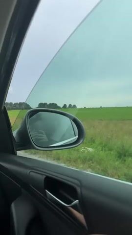 The video is taken from inside a car, looking out the passenger window. The window is partially rolled down, and the side-view mirror is visible. The mirror reflects the driver's face and hand, which is holding a phone. Outside the car, there is a green field with tall grass and some scattered yellow flowers. In the distance, there are trees and a cloudy sky. The car appears to be moving, as the landscape is slightly blurred.