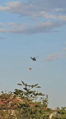 Aircraft with Bulgarian flag spotted over Krumovo
