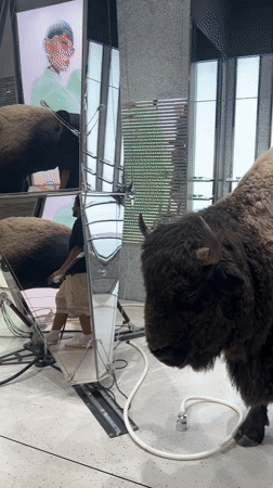 Bison art installation draws attention at Kuala Lumpur luxury mall