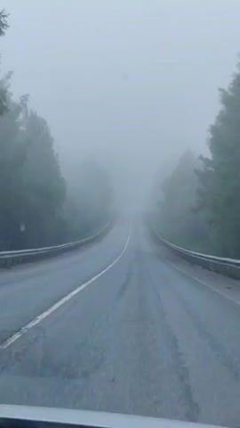The view from the windshield of a car reveals a wet, two-lane road disappearing into a dense fog. The road has a white painted line dividing the lanes, and the shoulders are lined with metal guardrails. Tall, green trees flank both sides of the road, their upper branches obscured by the fog. The overall atmosphere is overcast and visibility is significantly reduced.