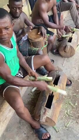 The video captures an outdoor musical performance by a group of men and boys in Unwana, Nigeria. In the foreground, a man wearing a green tank top and shorts sits on a concrete step, rhythmically striking a large, hollowed-out wooden log (a slit drum) with two peeled sugarcane stalks. Behind him, another shirtless man also plays a similar slit drum using sugarcane stalks. A third shirtless man sits between them, skillfully playing a traditional hand drum with his bare hands.

Several other men and boys are seated on steps, a low wall, or the ground in the background, observing the performance. The ground is a mix of concrete and dirt, littered with discarded pieces of sugarcane stalks, which are being used as mallets for the log drums. A light-colored building with a wooden window is visible behind the performers. The scene takes place during the daytime, under clear weather conditions, with the participants appearing focused on the rhythmic music they create. The man in the green tank top has some text on his shirt, partially obscured, which appears to be "ULTRA" or similar.