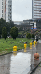 Woman documents rainy morning routine across Istanbul neighborhoods