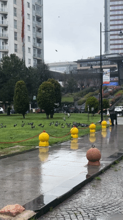 Woman documents rainy morning routine across Istanbul neighborhoods