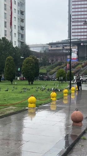 Woman documents rainy morning routine across Istanbul neighborhoods