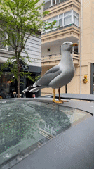 Ordinary moments captured across Kadıköy district during afternoon hour