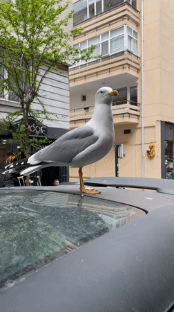 Ordinary moments captured across Kadıköy district during afternoon hour
