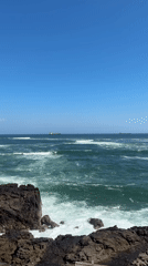 Witness documents coastal dining and ocean views in Arica