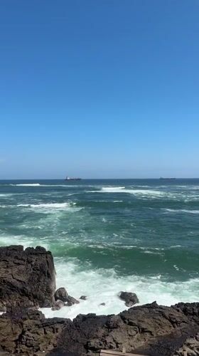 Witness documents coastal dining and ocean views in Arica